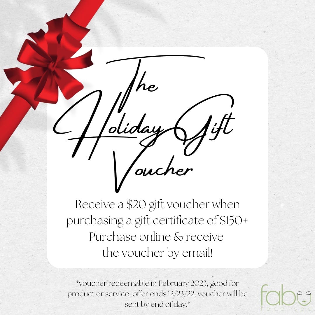 The Holiday Gift Voucher